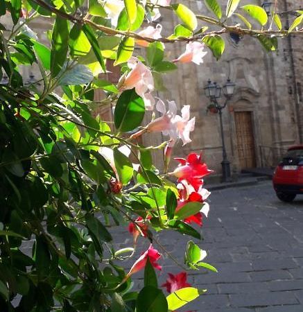 Nenet Guglionesi Exterior foto