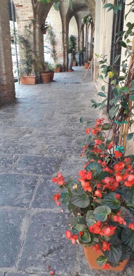 Nenet Guglionesi Exterior foto