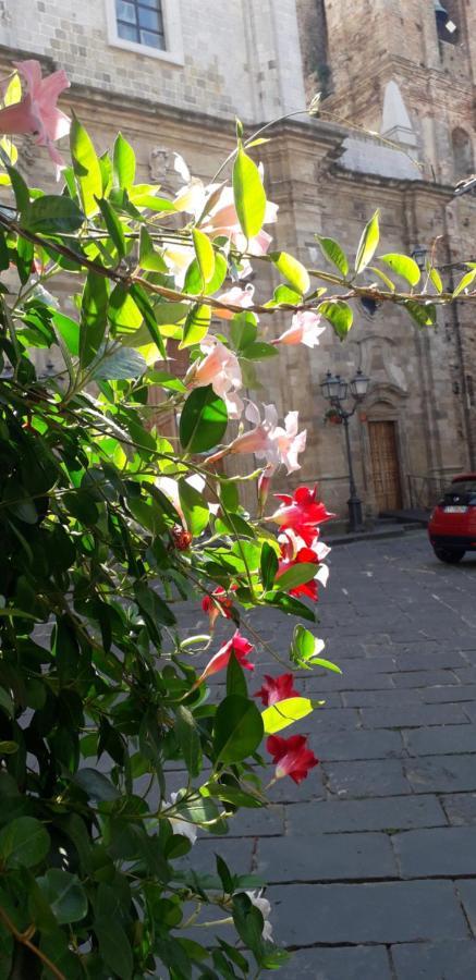 Nenet Guglionesi Exterior foto